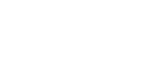  A compiling program that reflects key strategic issues that senior executives have identified